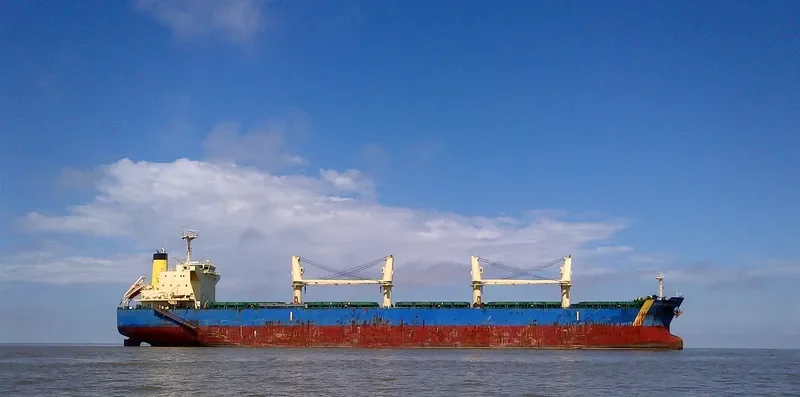 ANIMA Bulk Carrier IMO 9500584 photo 3