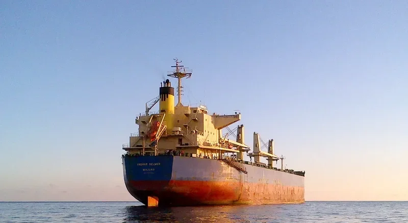 ANIMA Bulk Carrier IMO 9500584 photo 5