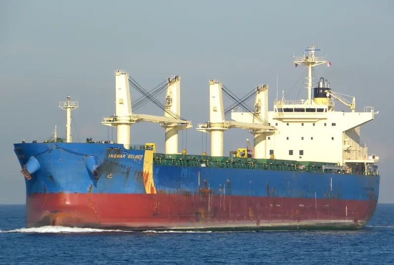 ANIMA Bulk Carrier IMO 9500584 photo 6