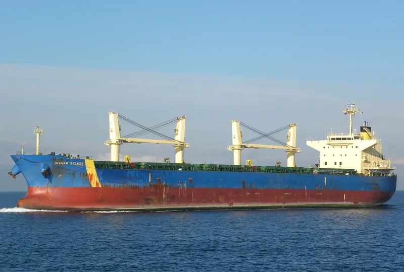ANIMA Bulk Carrier IMO 9500584 photo 7