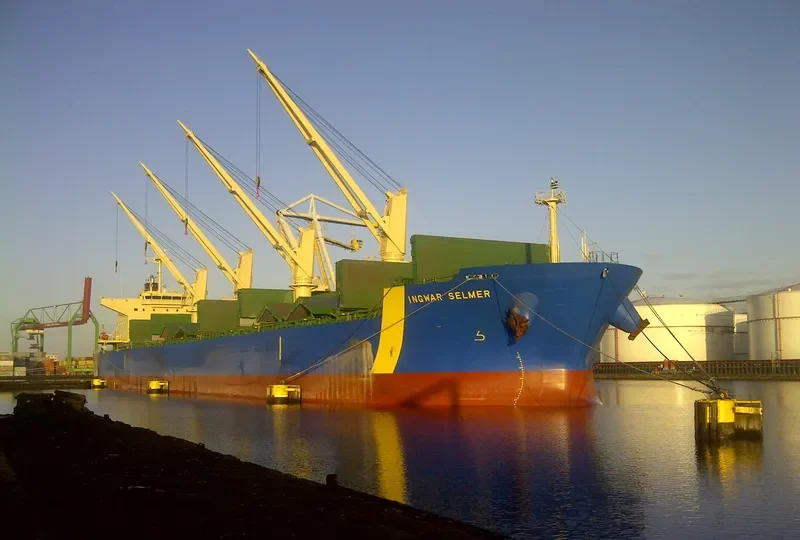 ANIMA Bulk Carrier IMO 9500584 photo 8