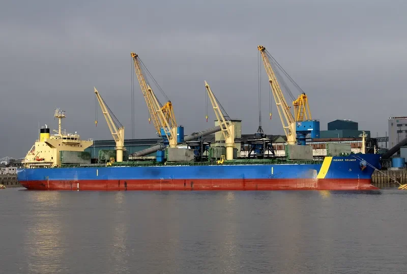 ANIMA Bulk Carrier IMO 9500584 photo 9