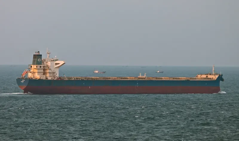 WINNING PEACE Bulk Carrier IMO 9500625 photo 2
