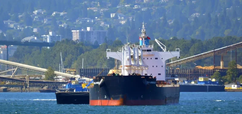 ST GEORGE Bulk Carrier IMO 9500663 photo 6