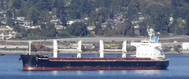 ST GEORGE Bulk Carrier IMO 9500663 photo 7