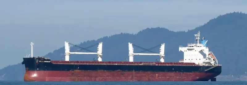 ST GEORGE Bulk Carrier IMO 9500663 photo 8