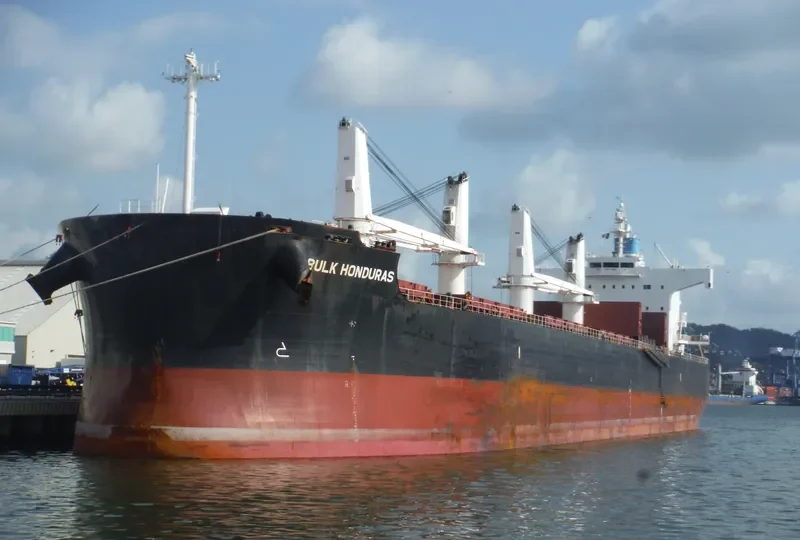 BULK HONDURAS Bulk Carrier IMO 9500675 photo 2