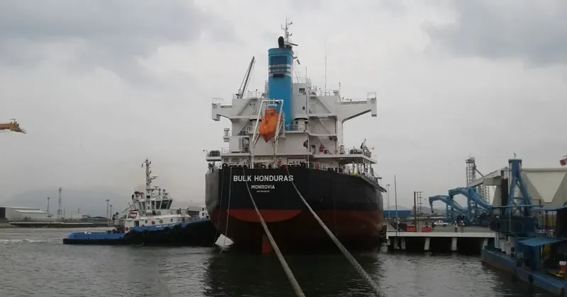BULK HONDURAS Bulk Carrier IMO 9500675 photo 3