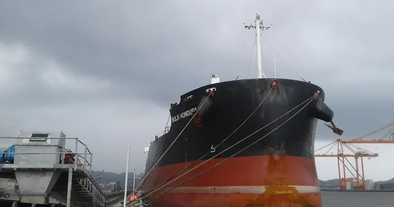 BULK HONDURAS Bulk Carrier IMO 9500675 photo 5