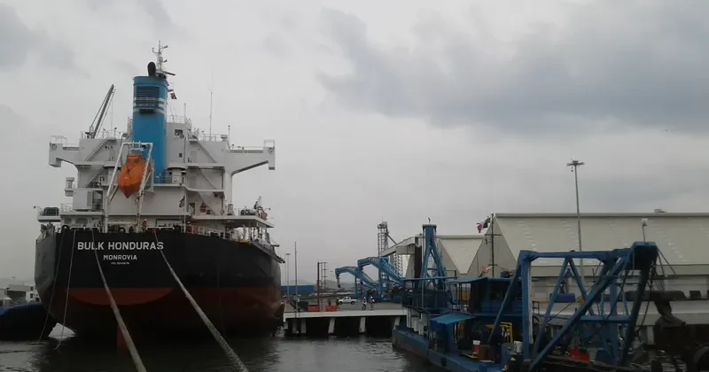 BULK HONDURAS Bulk Carrier IMO 9500675 photo 6