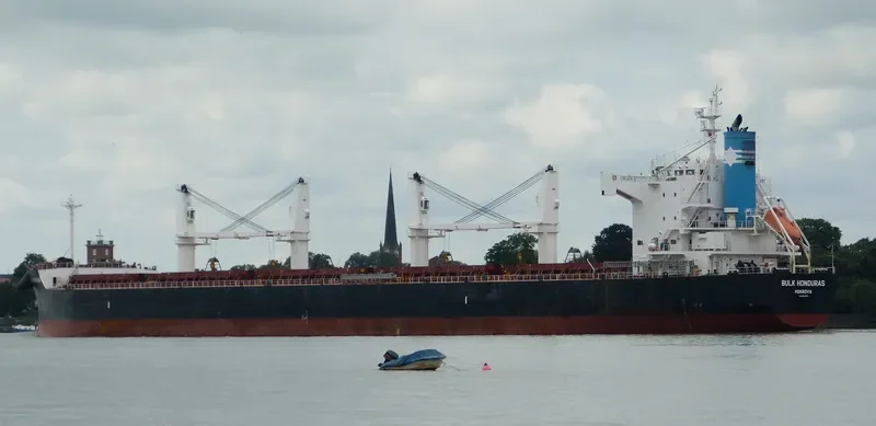 BULK HONDURAS Bulk Carrier IMO 9500675 photo 7