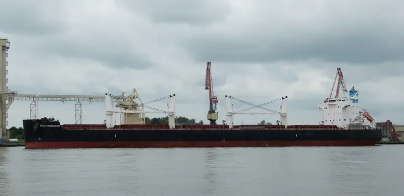 BULK HONDURAS Bulk Carrier IMO 9500675 photo 8