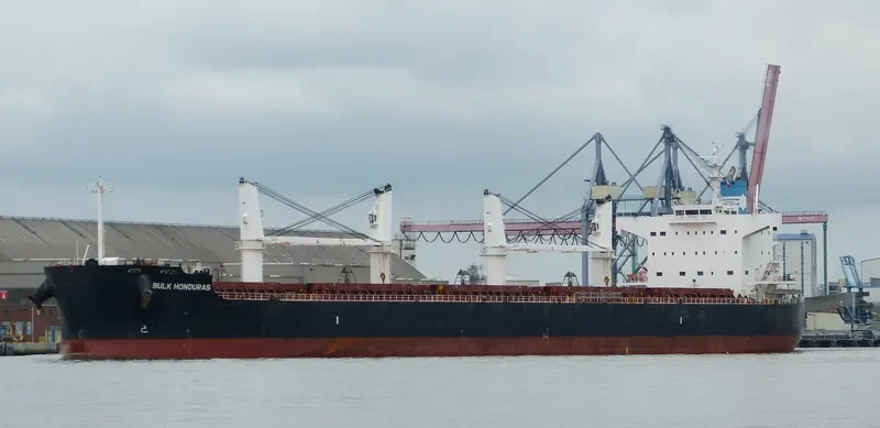 BULK HONDURAS Bulk Carrier IMO 9500675 photo 9