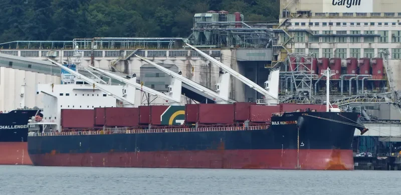 BULK HONDURAS Bulk Carrier IMO 9500675 photo 10