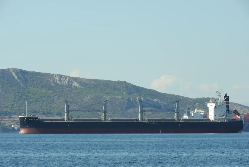 ASL FORTUNE Bulk Carrier IMO 9500687 photo 3