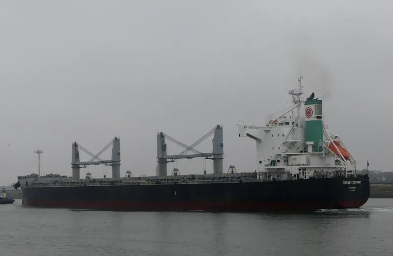 PROPEL FORTUNE Bulk Carrier IMO 9500699