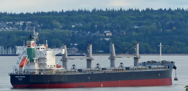 PROPEL FORTUNE Bulk Carrier IMO 9500699 photo 5