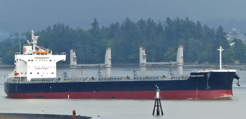 PROPEL FORTUNE Bulk Carrier IMO 9500699 photo 6