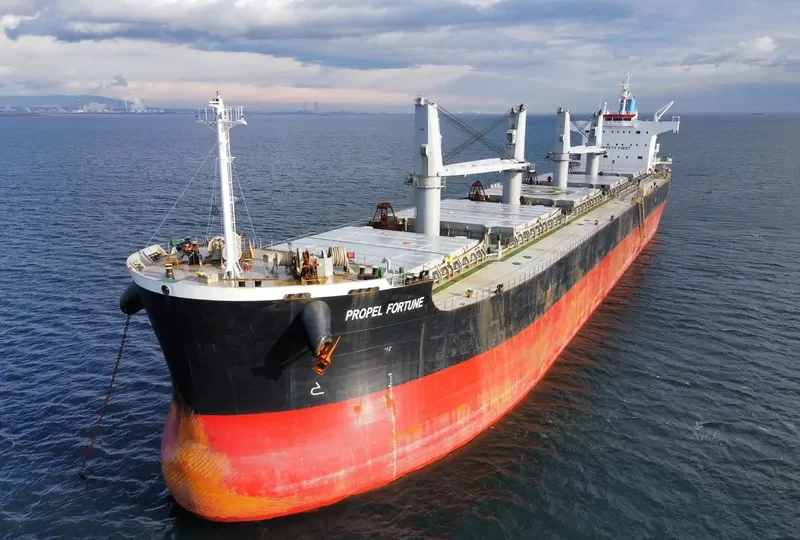 PROPEL FORTUNE Bulk Carrier IMO 9500699 photo 9