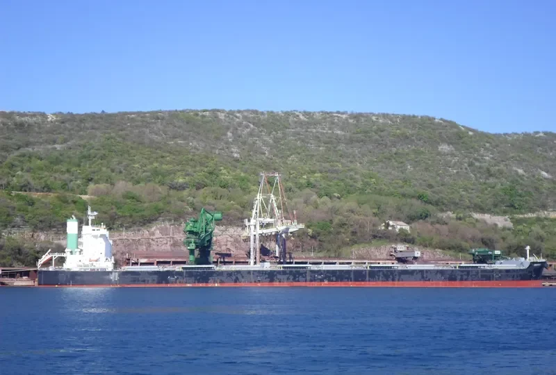 THALASSINI AVRA Bulk Carrier IMO 9500704