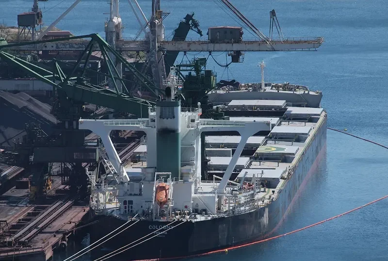 THALASSINI AVRA Bulk Carrier IMO 9500704 photo 2