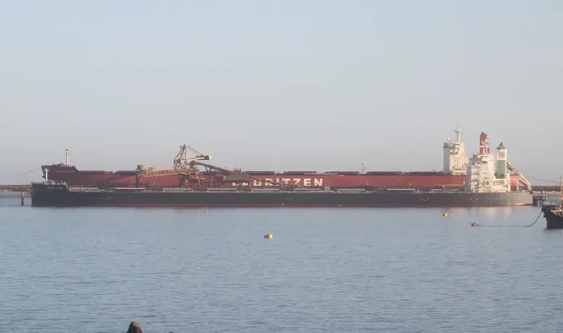 THALASSINI AVRA Bulk Carrier IMO 9500704 photo 7