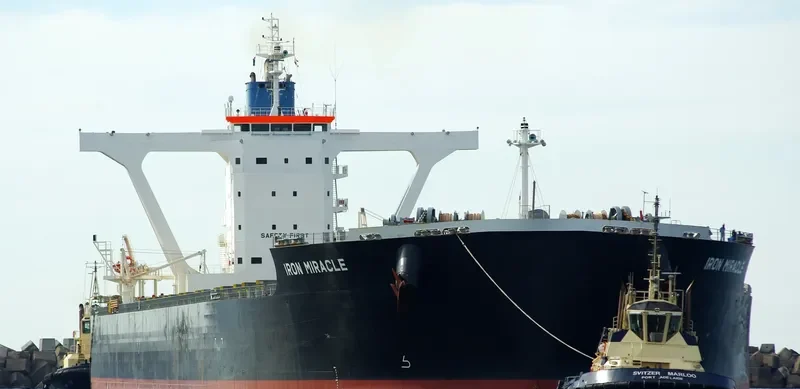 IRON MIRACLE Bulk Carrier IMO 9500742 photo 2