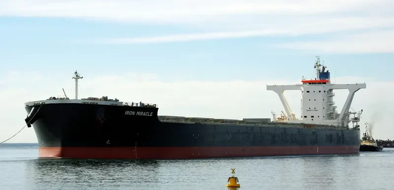 IRON MIRACLE Bulk Carrier IMO 9500742 photo 4