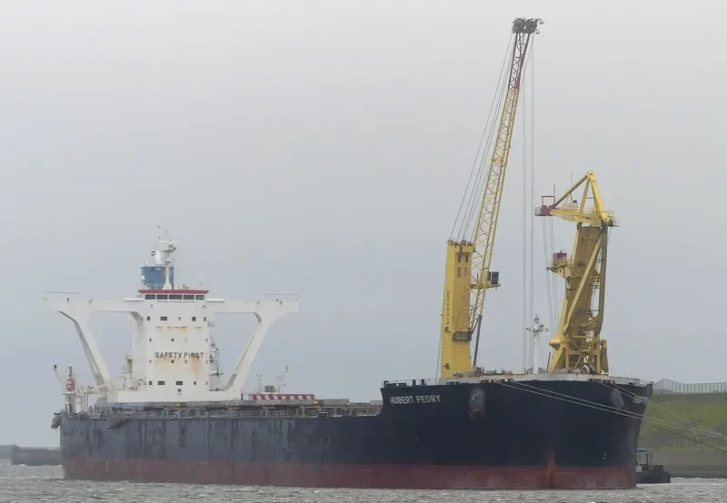 CAPE PEREGRINE Bulk Carrier IMO 9500754 photo 9