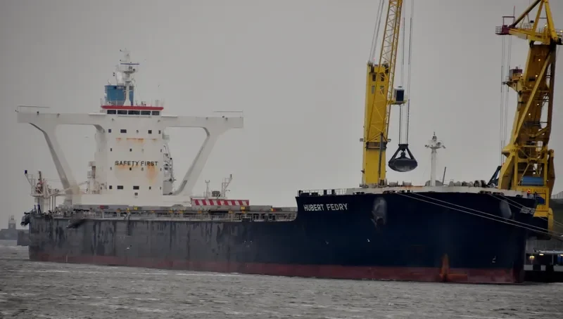 CAPE PEREGRINE Bulk Carrier IMO 9500754 photo 10