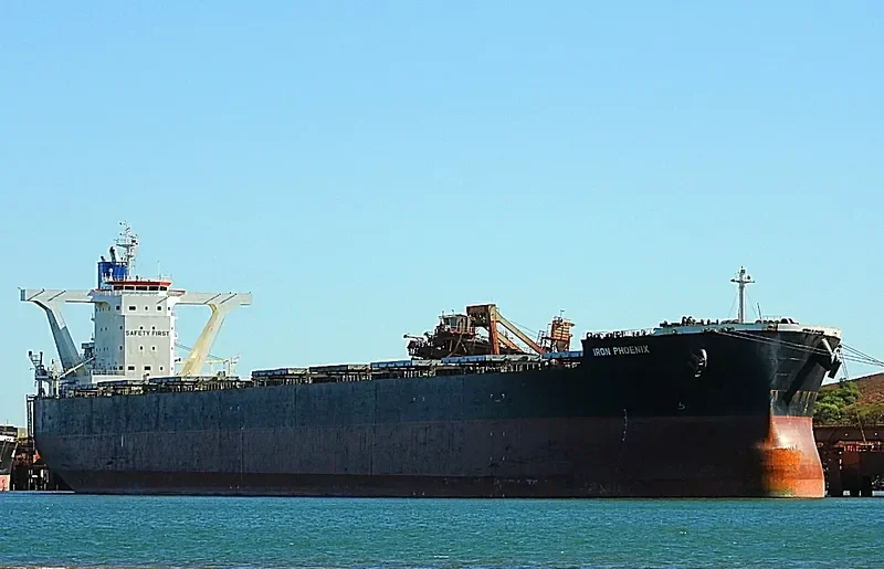 IRON PHOENIX Bulk Carrier IMO 9500766 photo 7