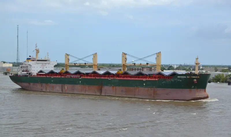 LASCOMBES Bulk Carrier IMO 9500819 photo 5