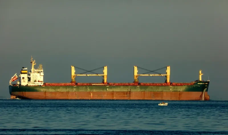 LASCOMBES Bulk Carrier IMO 9500819 photo 10