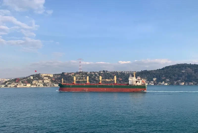 UNIVERSAL BANGKOK Bulk Carrier IMO 9500821 photo 9