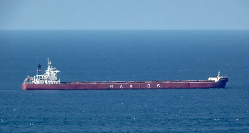 NAVIOS FULVIA Bulk Carrier IMO 9500986 photo 3