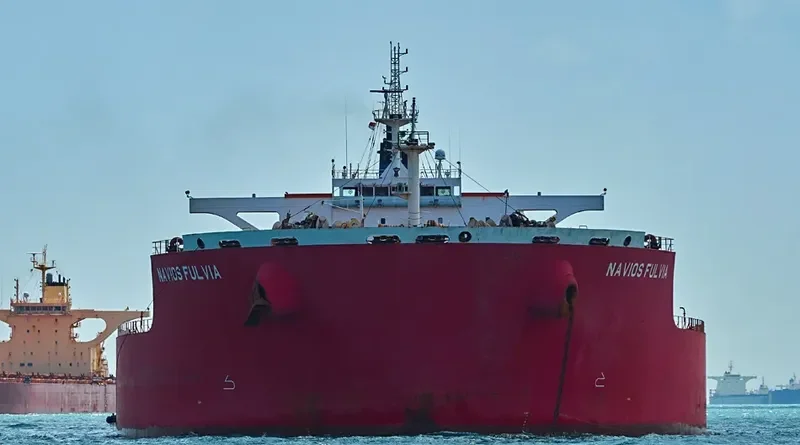 NAVIOS FULVIA Bulk Carrier IMO 9500986 photo 7