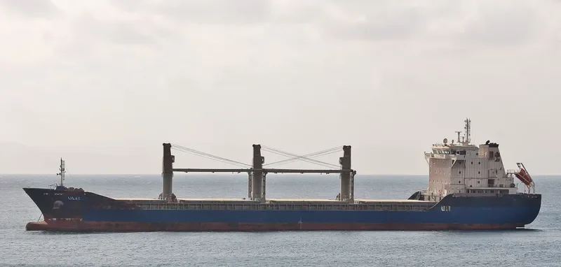 ELENA Bulk Carrier IMO 9501215 photo 4