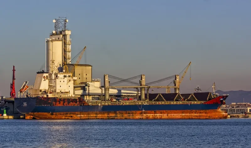 ELENA Bulk Carrier IMO 9501215 photo 5