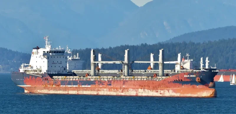 ELENA Bulk Carrier IMO 9501215 photo 7