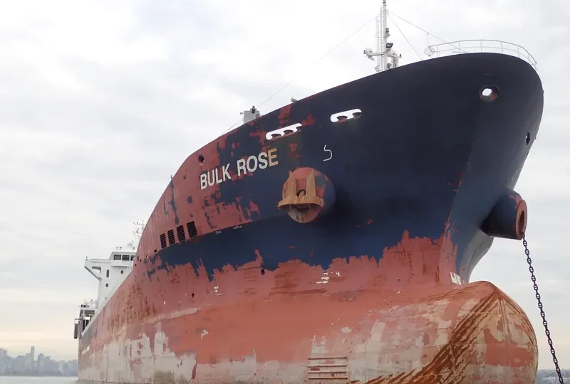 ELENA Bulk Carrier IMO 9501215 photo 8