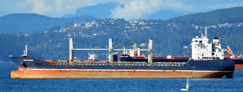 ELENA Bulk Carrier IMO 9501215 photo 9