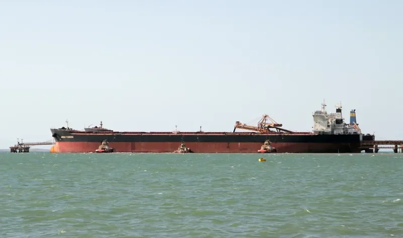 AQUA VISION Bulk Carrier IMO 9501497