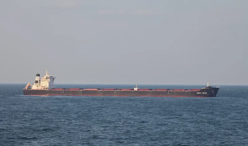 AQUA VISION Bulk Carrier IMO 9501497 photo 2