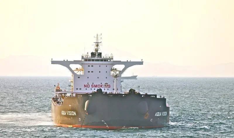 AQUA VISION Bulk Carrier IMO 9501497 photo 3