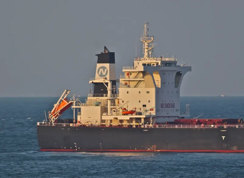 AQUA VISION Bulk Carrier IMO 9501497 photo 4