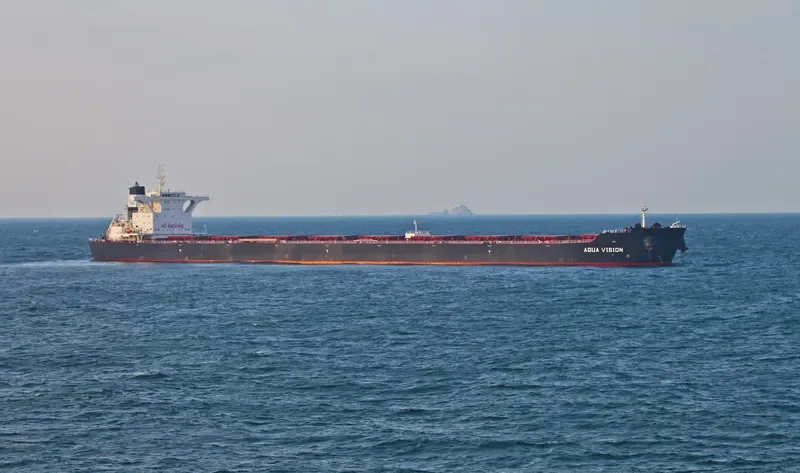 AQUA VISION Bulk Carrier IMO 9501497 photo 6