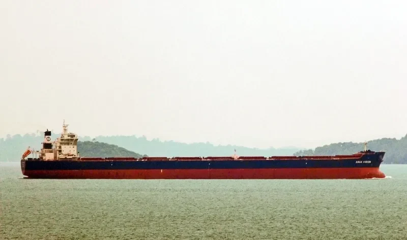 AQUA VISION Bulk Carrier IMO 9501497 photo 7