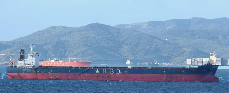 ORSOLA BOTTIGLIERI Bulk Carrier IMO 9501617