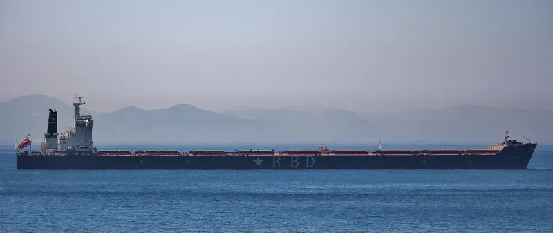 ORSOLA BOTTIGLIERI Bulk Carrier IMO 9501617 photo 2