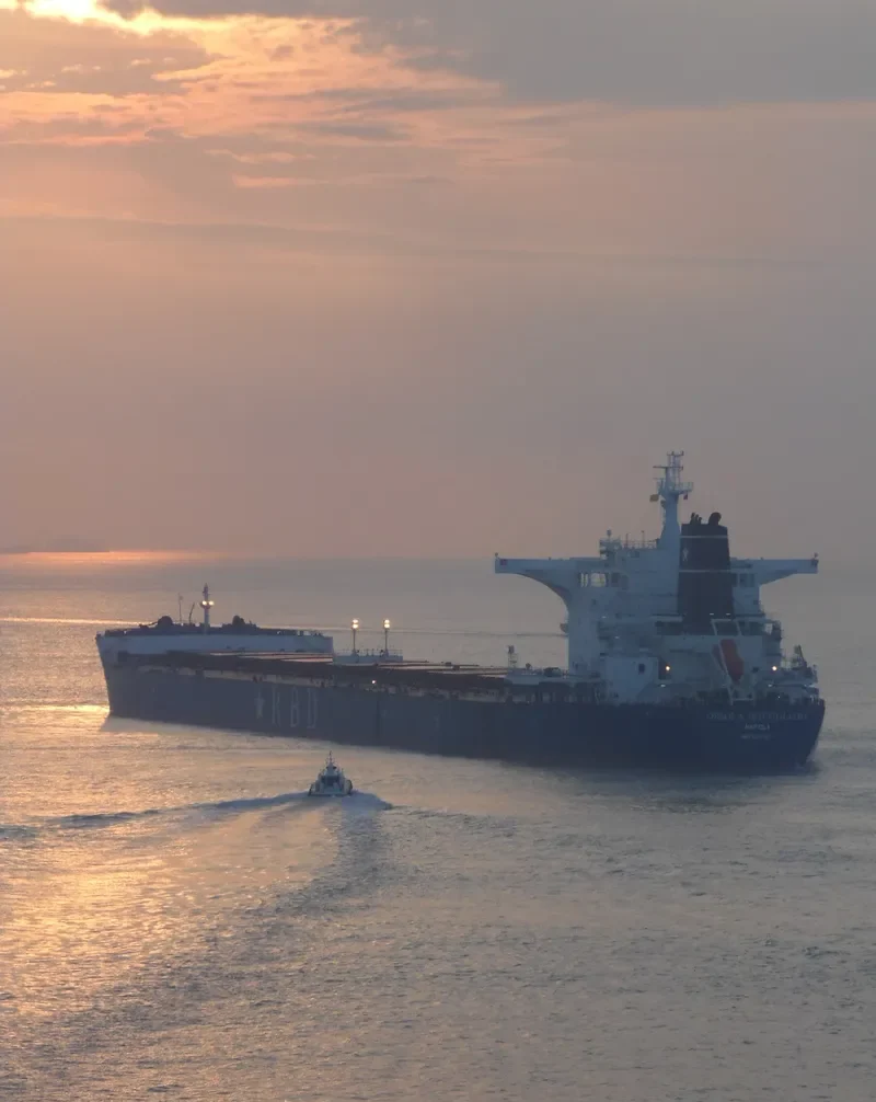 ORSOLA BOTTIGLIERI Bulk Carrier IMO 9501617 photo 3